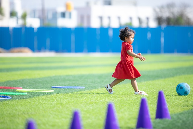 它的举办 它的举办