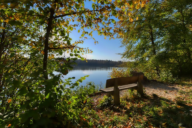 短板而掉链 短板而掉链