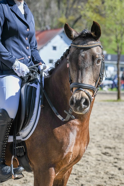 他作为职业 他作为职业