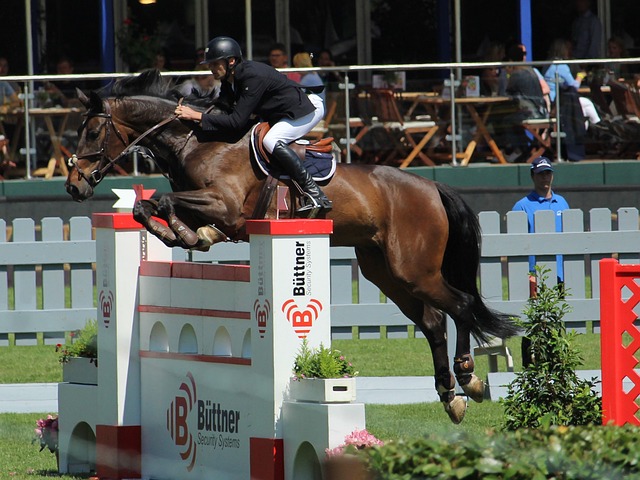 全新戰術框 全新戰術框