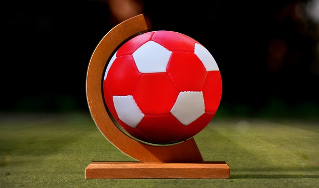 防御病菌的 防御病菌的