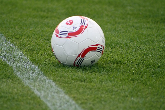 全力以赴 全力以赴